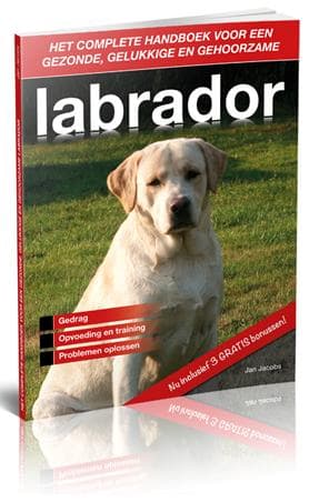 Labrador Handboek Review: De Definitieve Gids voor Elke Eigenaar